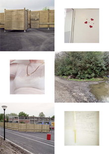 Iris Wolf - Wunschbox